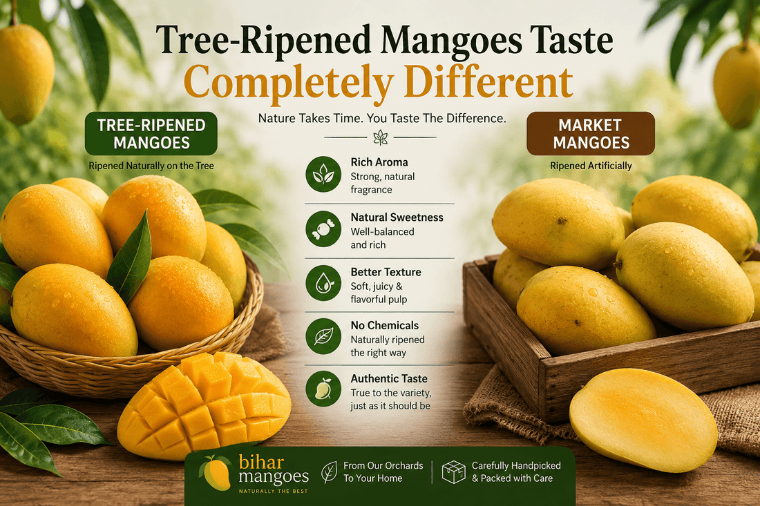 Why Tree-Ripened Mangoes Taste Completely Different From Market Mangoes