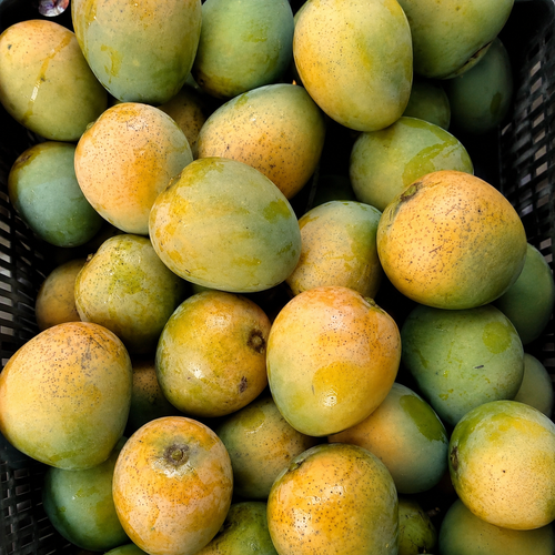 Bambai Mango