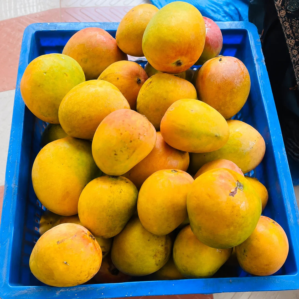 Curated by Bihar Mangoes – Badami & Mallika Organic Mango Box (5 kg)