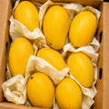 Chausa Mango