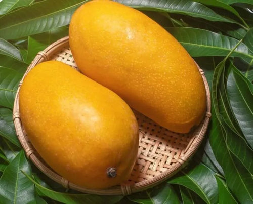 Chausa Mango