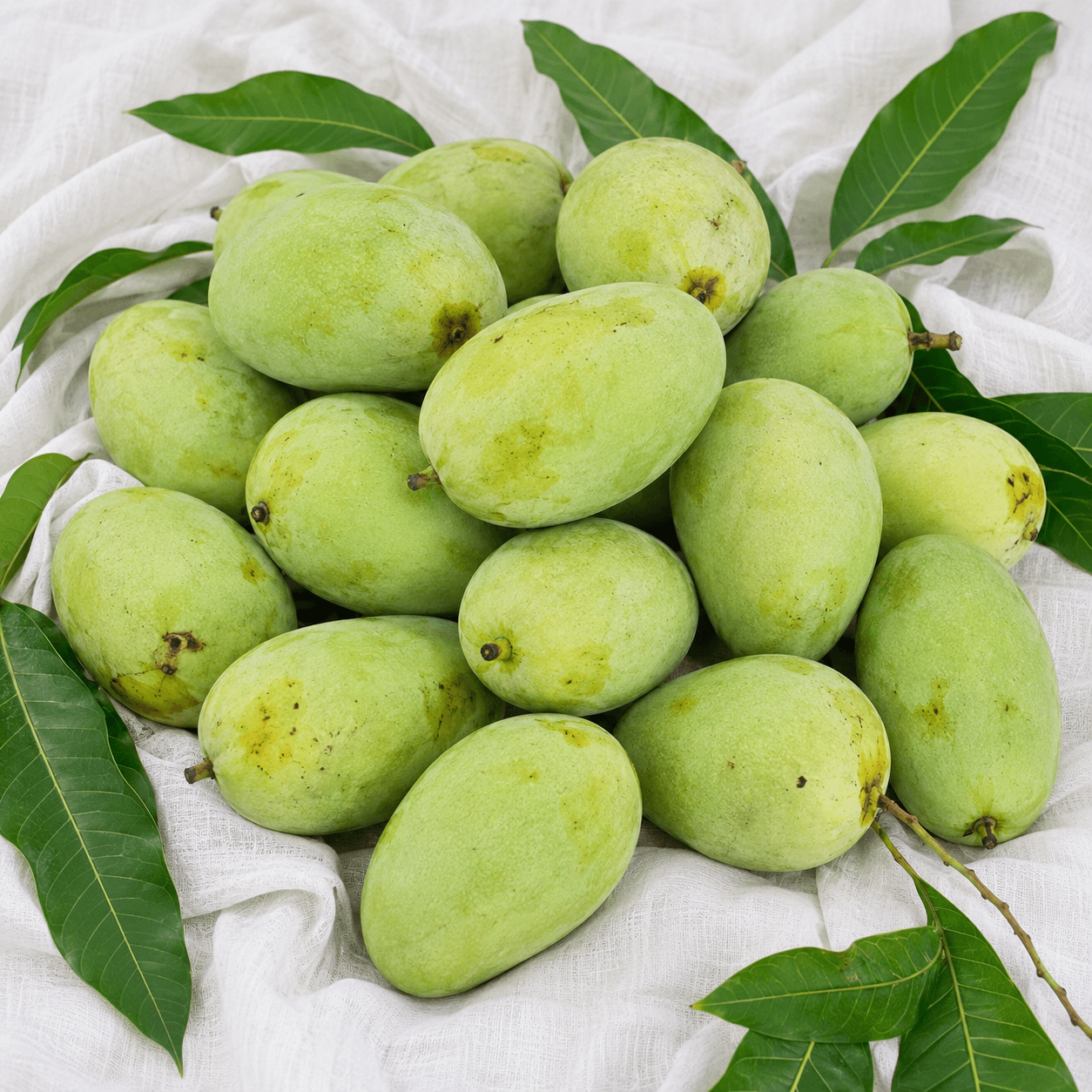 Dudhiya Malda Mango