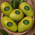 Himsagar Mango